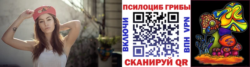 Псилоцибиновые грибы мицелий  где продают   Жердевка 